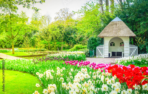 Obraz na płótnie Colorful growing red, pink, red, violet tulips flowerbed with well in spring formal garden w salonie