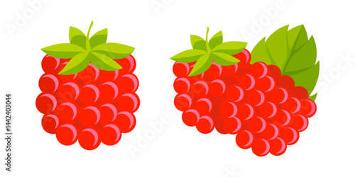 Two juicy raspberries symbolize the taste of summer and healthy lifestyle