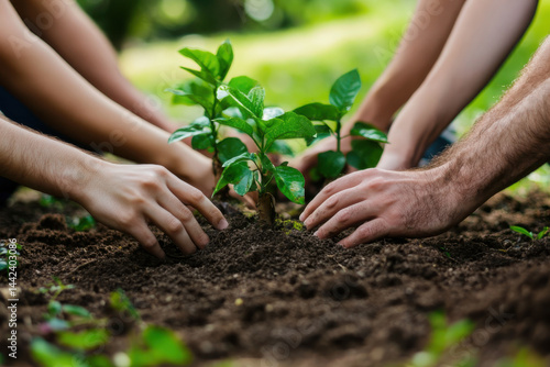 Family planting seedlings in fertile soil for a greener future