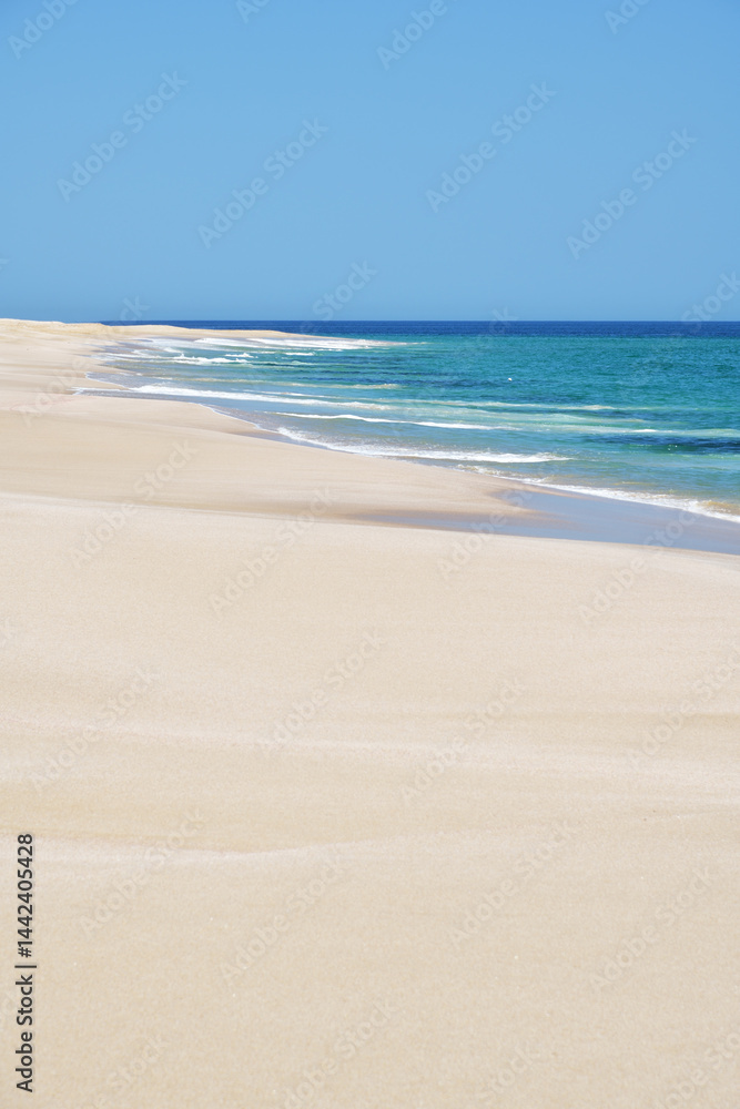 Ras El Hadd beach. Oman Ras El Hadd beach. Oman