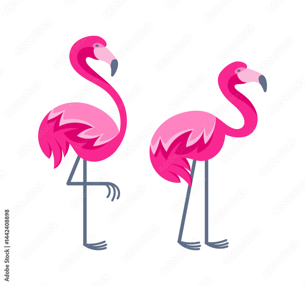 Obraz premium Two pink flamingos standing on one leg and showing their plumage