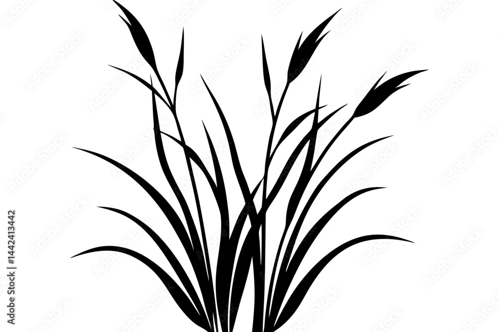 Fototapeta premium Grass Plant vector silhouette illustration isolated on white background