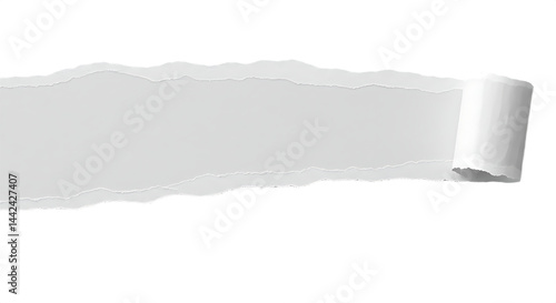 Curled White Paper Strip with Shadow