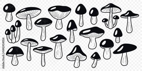 Wild Black and White Line Art Mushroom Vector Set. Flat Hand Drawn Forest Fungi Collection. Porcini, Bay Bolete, Birch Bolete, King Mushroom Icon Set. Cooking, Mycology, Botanical Illustration