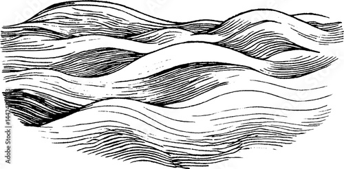 Stylized Waves Illustration