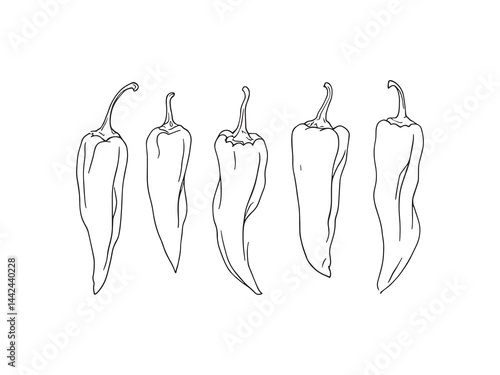 Habanero chili vector drawing for spicy food illustration 