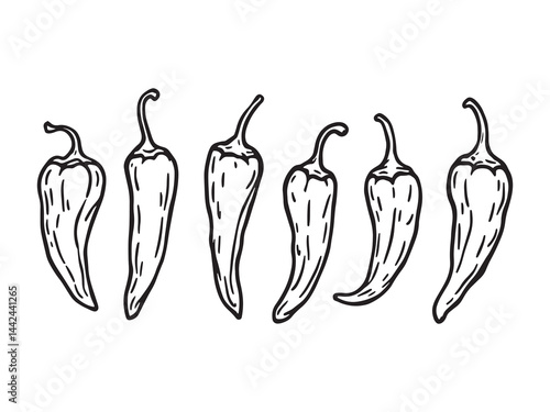 Habanero chili vector line art for hot peppers design