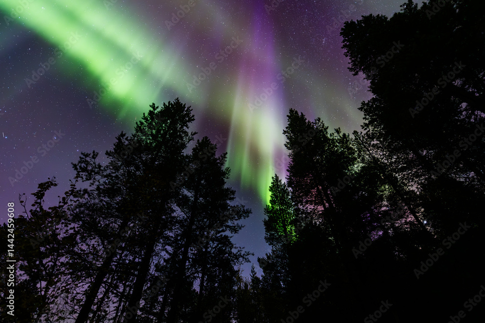 Northern lights in Kiruna, Sweden, reflecting on calm water in September with stars and forest in the background.