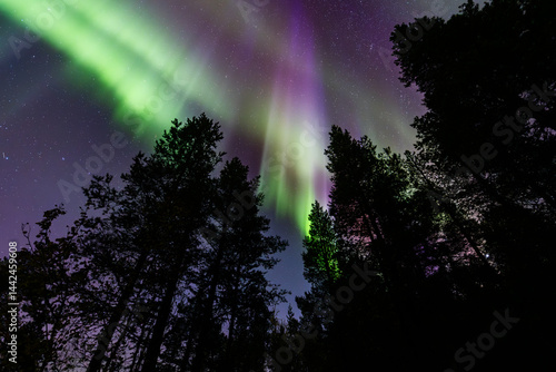 Obraz na płótnie Northern lights in Kiruna, Sweden, reflecting on calm water in September with stars and forest in the background. w salonie