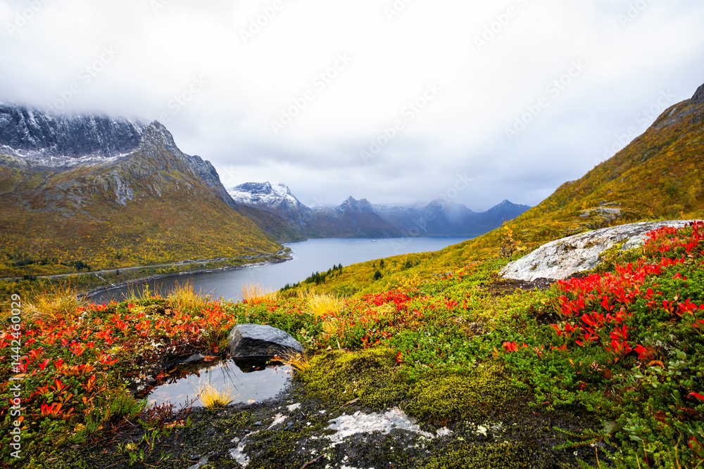 Autumn landscape of Senja Island in Northern Norway with colorful foliage, mountains, and a serene fjord.