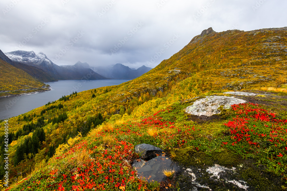 Autumn landscape of Senja Island in Northern Norway with colorful foliage, mountains, and a serene fjord.