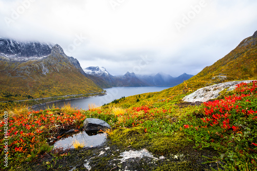 Obraz na płótnie Autumn landscape of Senja Island in Northern Norway with colorful foliage, mountains, and a serene fjord. w salonie