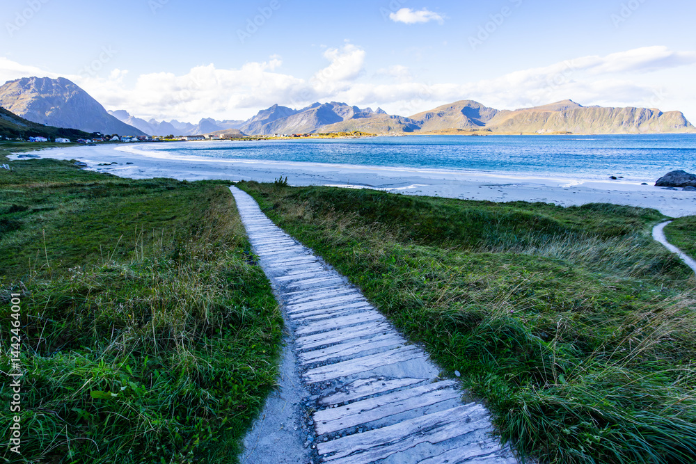 Autumn landscape in Lofoten Islands, Northern Norway, featuring colorful foliage, and a peaceful fjord.