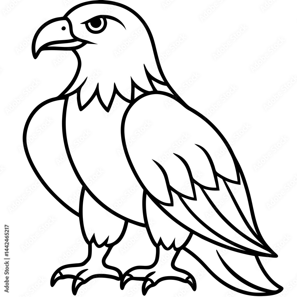 Bold Eagle Line Drawing Illustration Bold Eagle Line Drawing Illustration