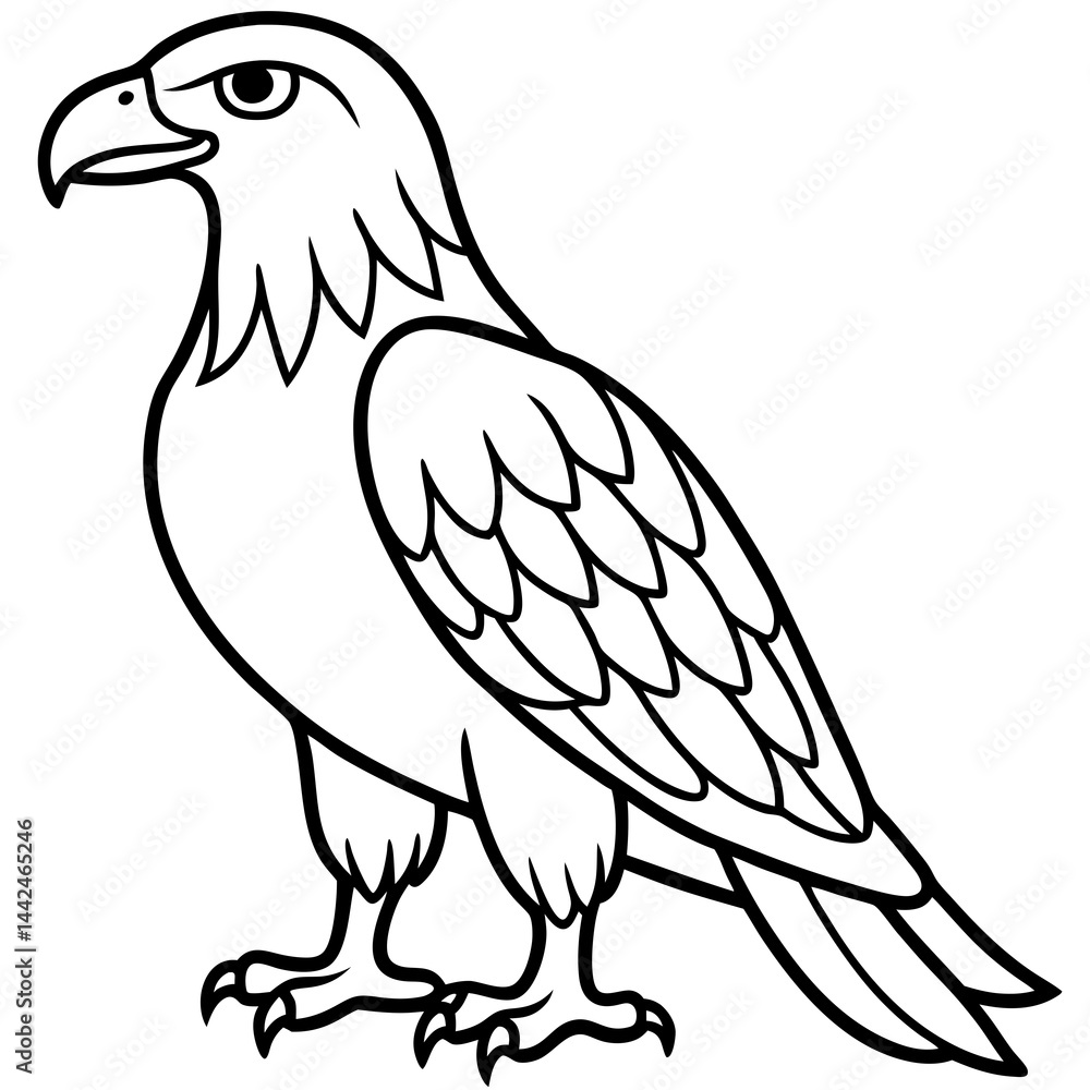 Obraz premium Bold Eagle Line Drawing Illustration