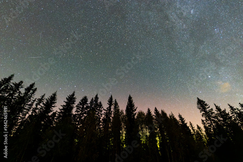 Obraz na płótnie Northern lights illuminating the night sky above a forest in southern Norway, with a starry sky and trees in silhouette. w salonie