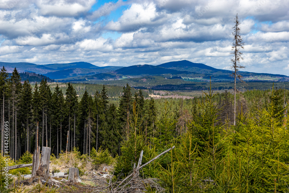 Forest-covered mountains. Sumava National Park, Czech Republic.