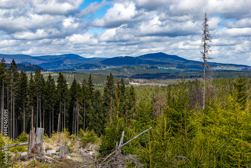 Obraz na płótnie Forest-covered mountains. Sumava National Park, Czech Republic. w salonie