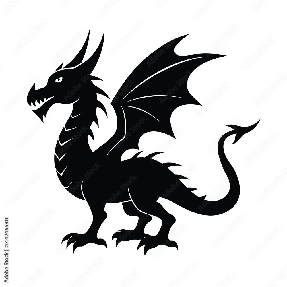 Fototapeta premium Adobe Illustrator Artwork