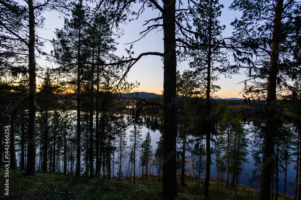 Obraz premium A peaceful sunset over a lake in Lapland, Sweden, with the reflection of trees in the still water.