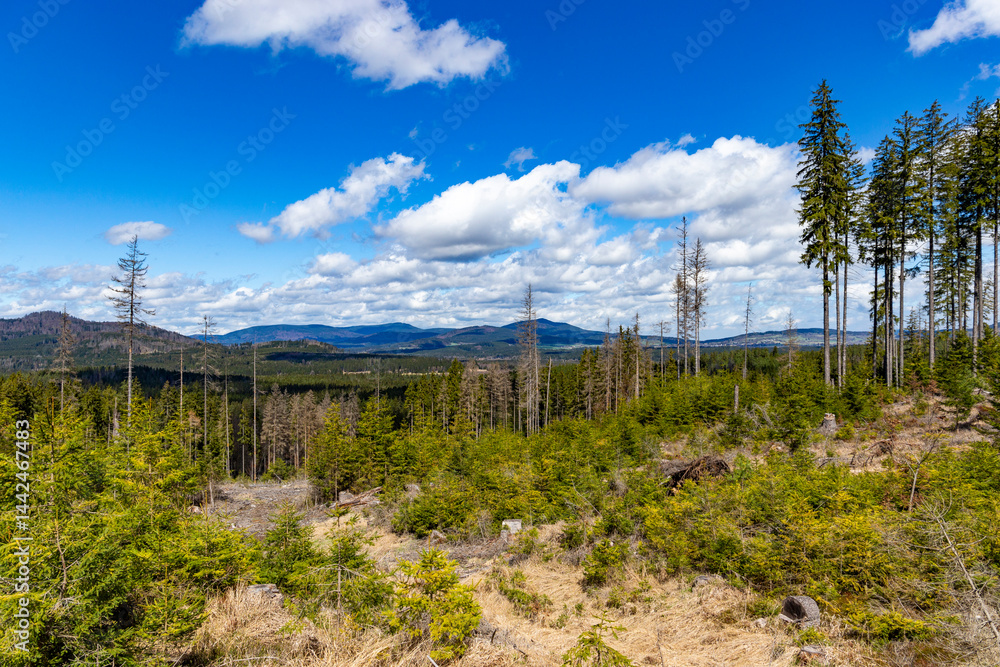 Forest-covered mountains. Sumava National Park, Czech Republic.