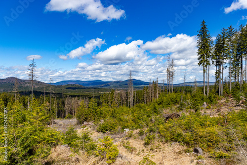 Obraz na płótnie Forest-covered mountains. Sumava National Park, Czech Republic. w salonie