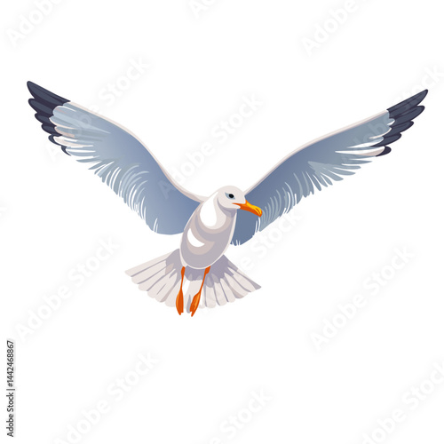flying seagull bird vector graphic design 