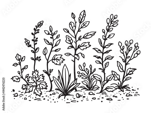 line art of green manure plants for sustainable farming