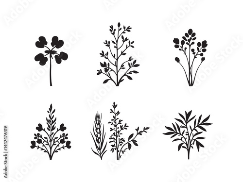 line art of green manure plants for sustainable farming 