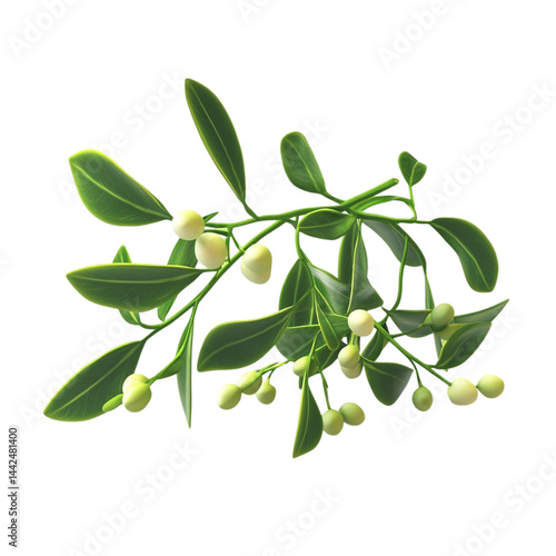 Wallpaper Mural Mistletoe sprig with green leaves and white berries on a vibrant striped background Torontodigital.ca