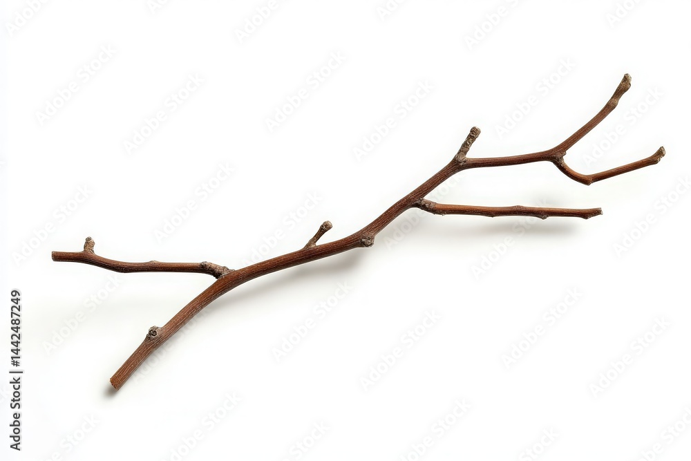 A solitary, twisted branch with multiple offshoots lying on a clean white background, showcasing its natural texture and form, ideal for artistic and nature-themed projects A solitary, twisted branch with multiple offshoots lying on a clean white background, showcasing its natural texture and form, ideal for artistic and nature-themed projects