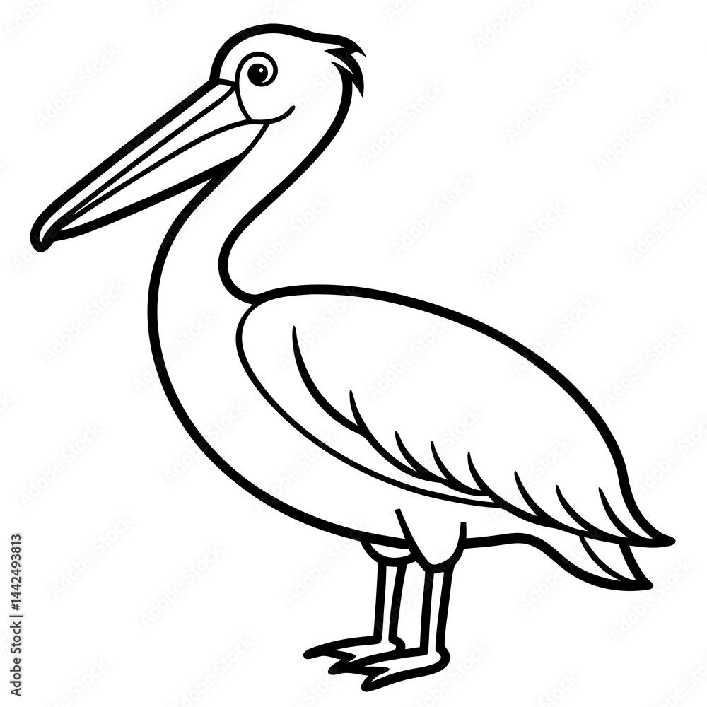 Fototapeta premium Clean Pelican Outline Artwork