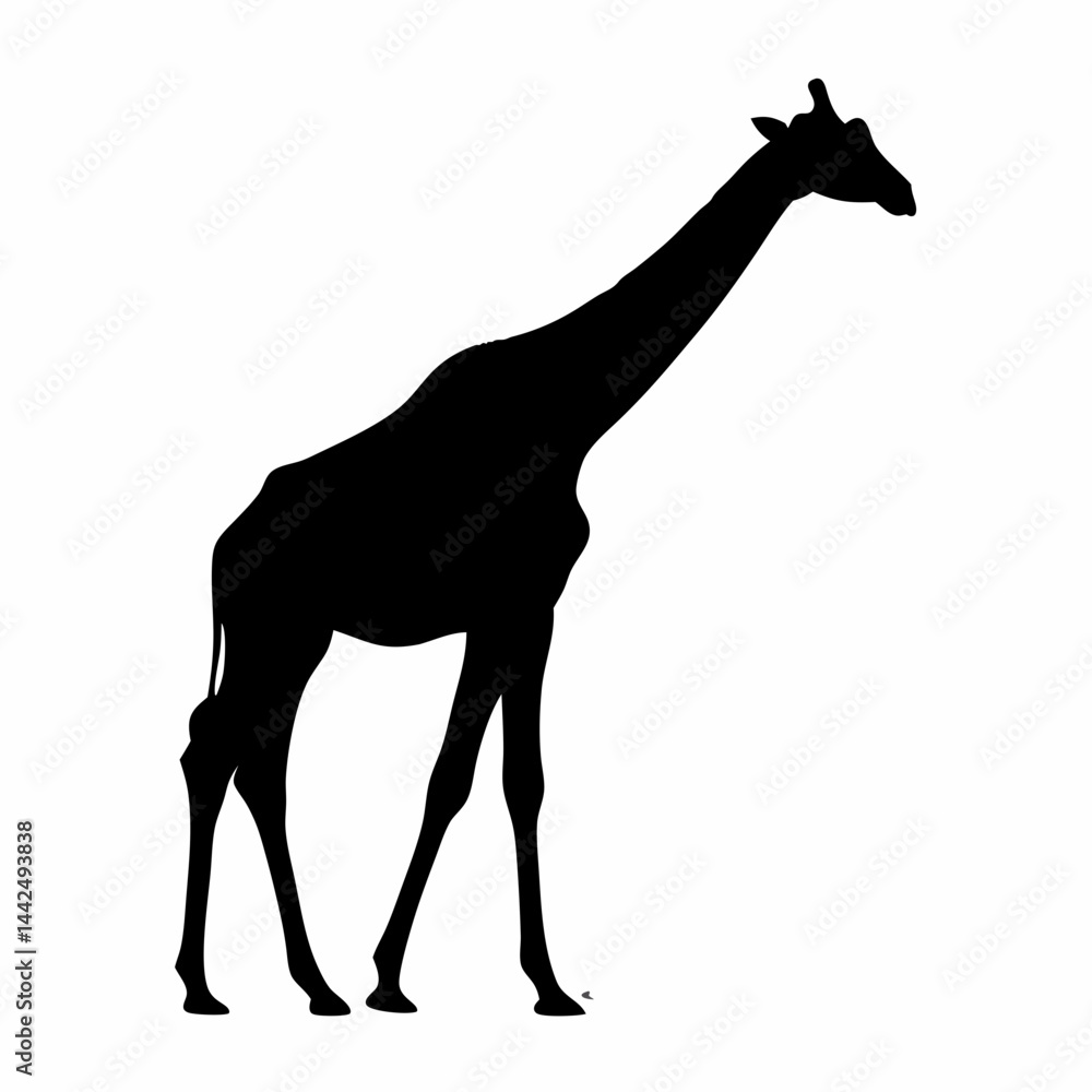 Fototapeta premium giraffe silhouette black and white