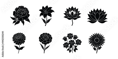 set of flower  vector illustroution on white background, bundle of 8 flower.