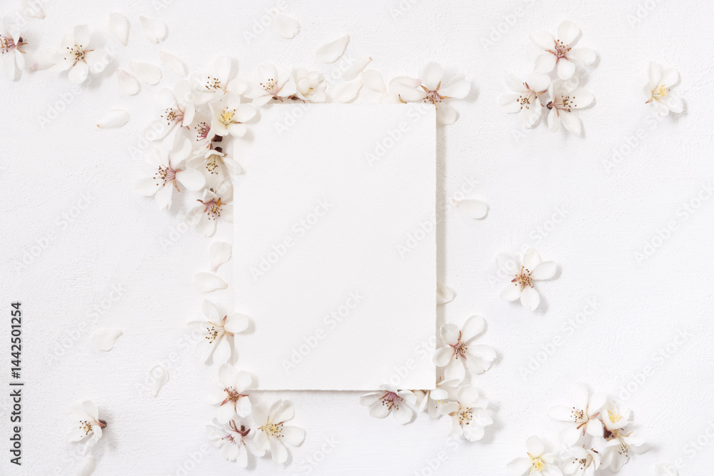 Blank vertical paper card near white cherry flowers top view, spring wedding mockup