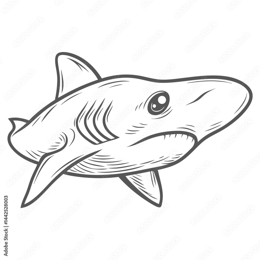 Fototapeta premium Thresher Shark Outline Illustration, Pelagic Species