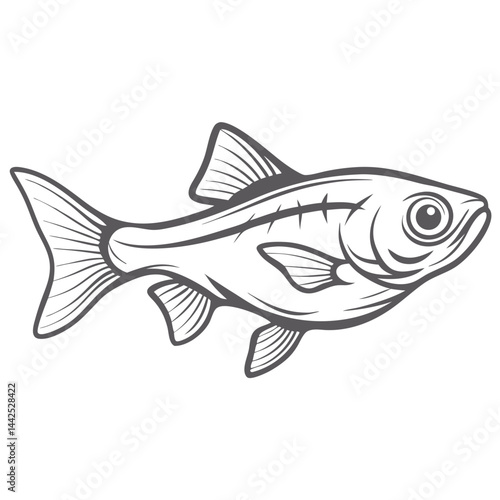 Brilliant Rasbora Fish Line Art Illustration