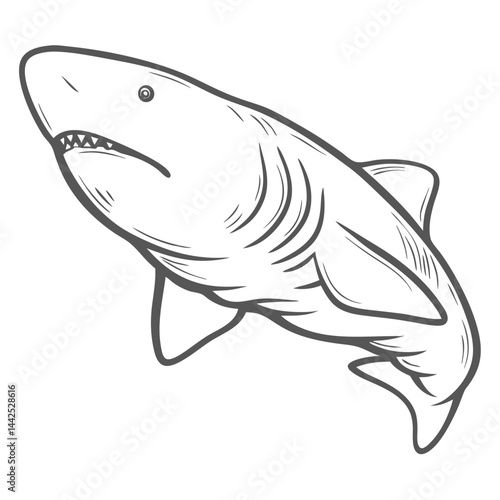 Greenland Shark Outline Illustration, Somniosus Microcephalus