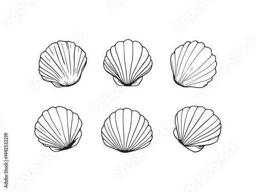 Simple Line Art Illustration of Clams Shells 