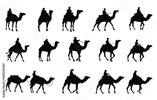 Black silhouette of camel rider on white background, isolated, vector illustration.