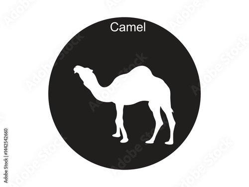 Camel-25