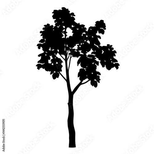 Download black tree silhouette vector image for free nature element in graphic design projects