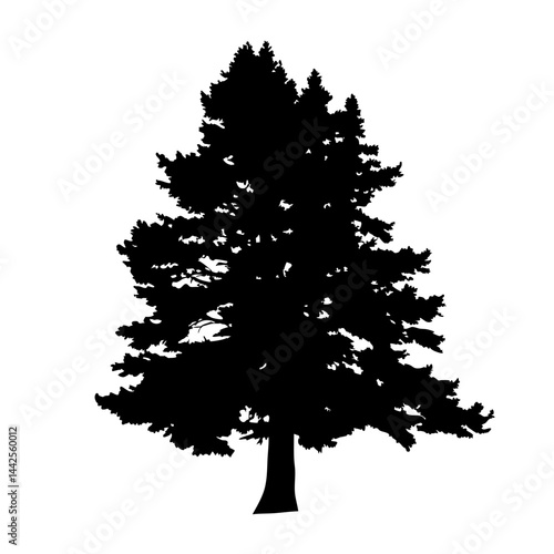 Silhouette of a pine tree evergreen tree nature tree forest tree christmas tree design element vector