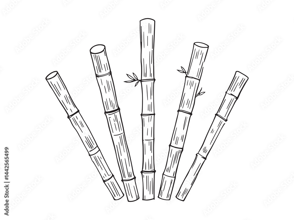 Bamboo Stake Line Art Vector for Garden and Landscaping Bamboo Stake Line Art Vector for Garden and Landscaping