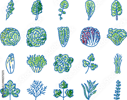 salad food healthy green fresh icons hand drawn