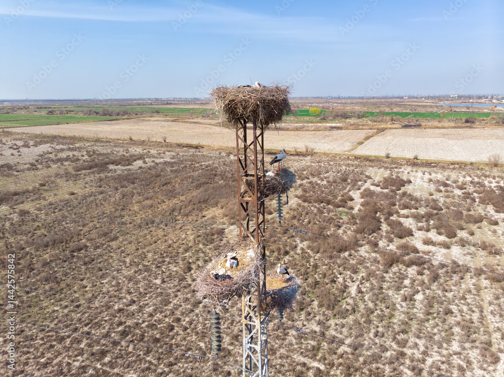 White stork nests on a pole, filmed from a quadcopter.Uzbekistan