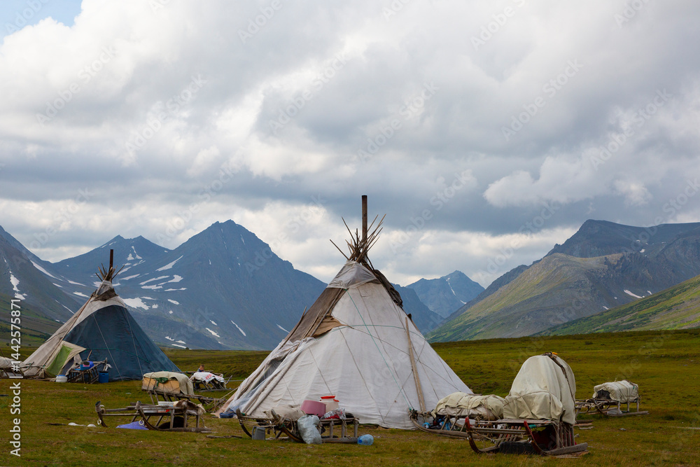 Nenets reindeer herders choom on a summer. Russia, Yamal