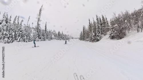 Snowboarding and Skiing Adventure in Steamboat, Colorado