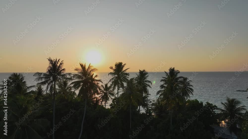 Aerial view Summer tropical with colorful theme as palm trees on the beach background Aerial view Summer tropical with colorful theme as palm trees on the beach background