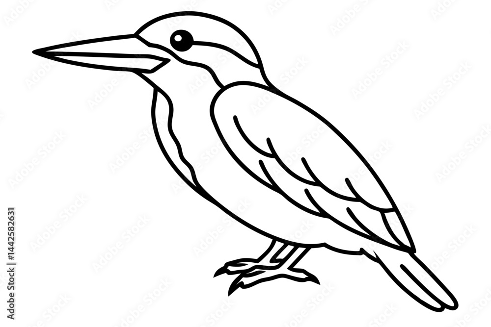 Fototapeta premium Graceful Kingfisher